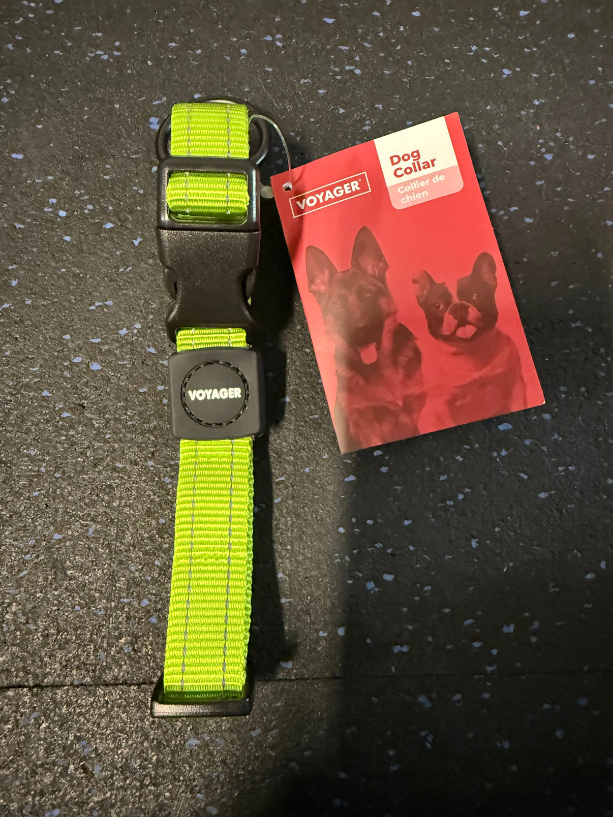 Best Pet Supplies Reflective Dog Collar with Adjustable Length, Heavy-Duty Buckle, and Strong Leash D-Ring, Training, Walking, Jogging Accessory for Small, Medium, and Large Breeds - Lime Green, M Indiana Pet Supply