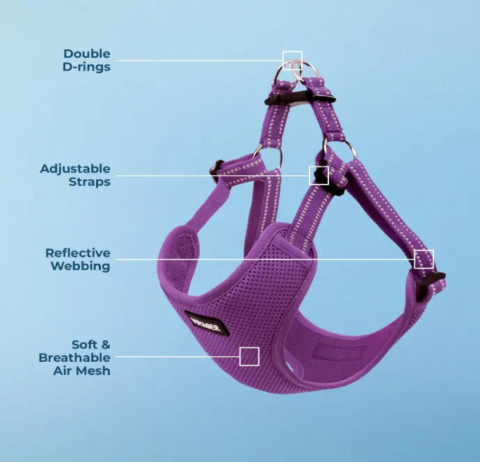 Best Pet Supplies Voyager Adjustable Dog Vest Harness Breathable No Pull Harness for Small, Medium, Large Dogs, Harness for Walking, Jogging, Easy Step-in, Reflective Stripes Indiana Pet Supply