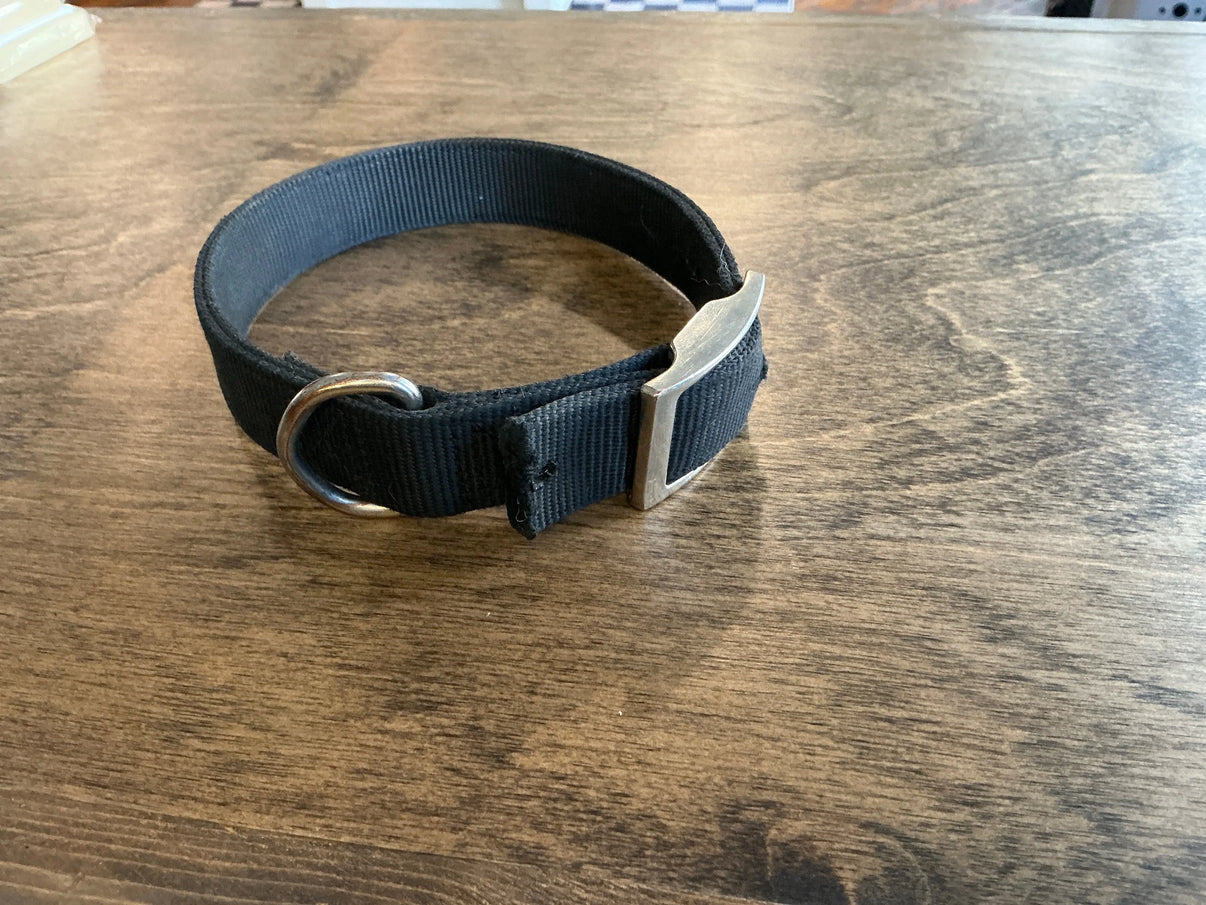 Black 20in Dog Collar Indiana Pet Supply