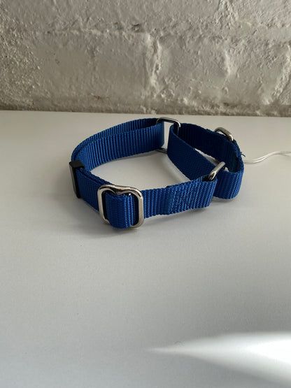 Blue Nylon Martingale Dog Collar - Medium