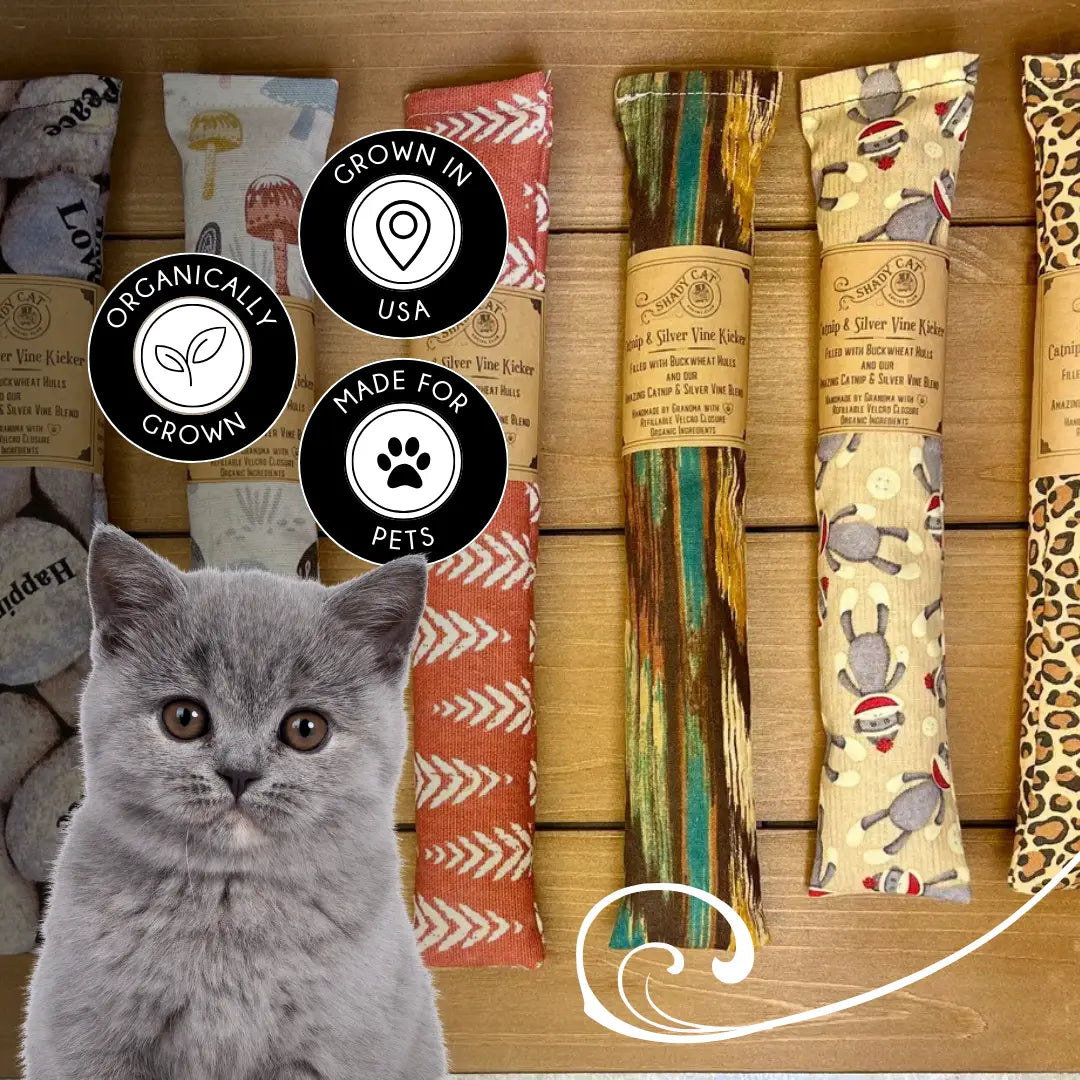 Catnip and Silver Vine Kickers | Cat Toys | Gifts for Pets SHADY CAT SOCIAL CLUB