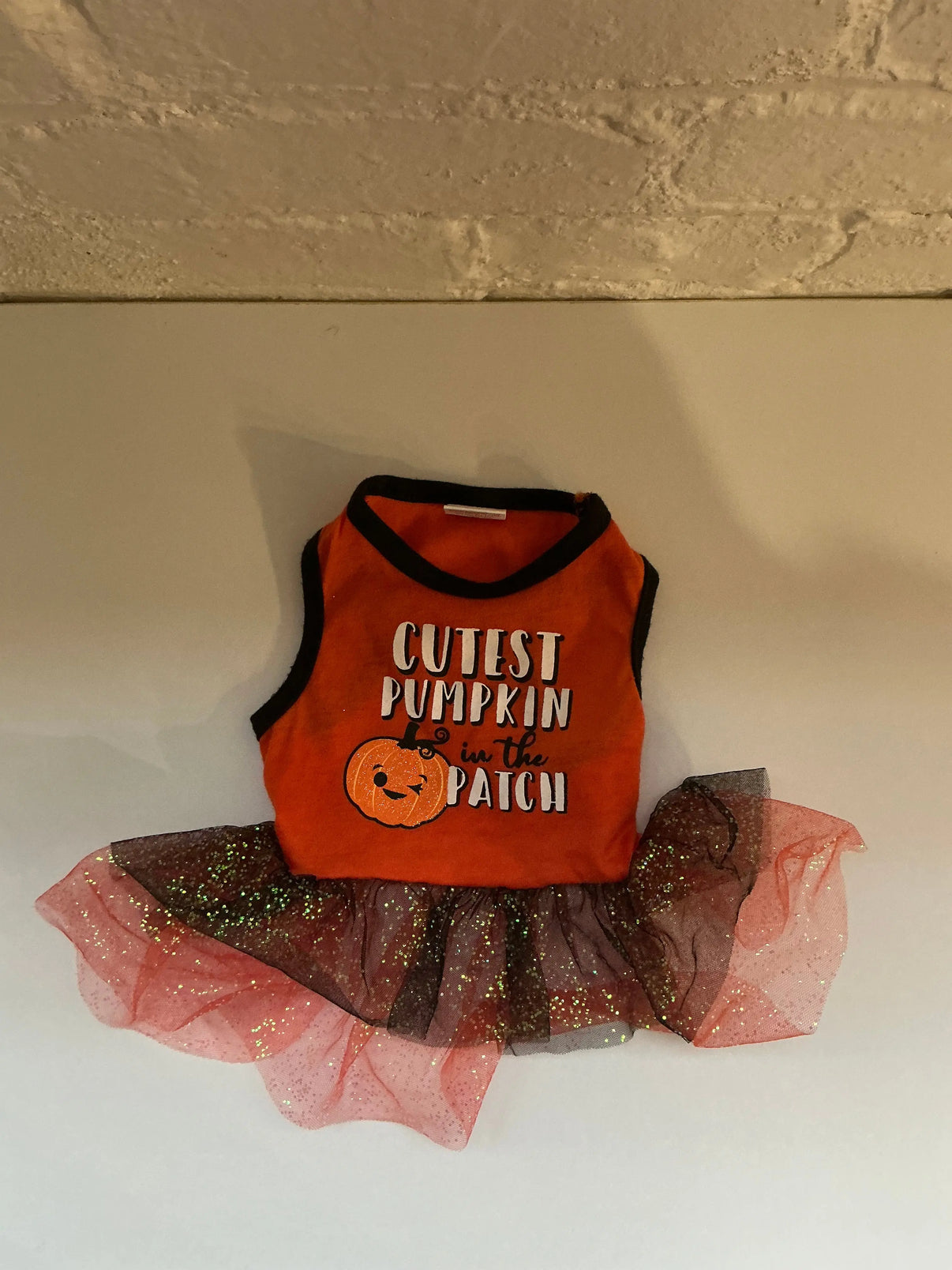 Cutest Pumpkin in the Patch Fall/Halloween Dress Size XS Indiana Pet Supply