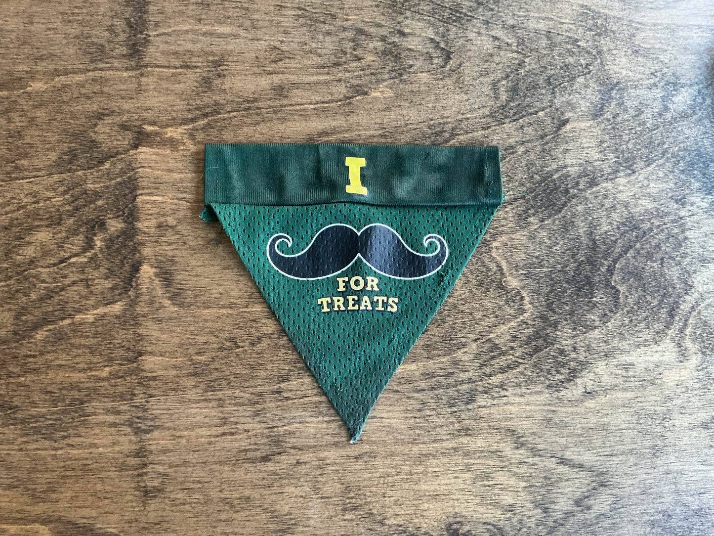 “I Mustache For Treats” Dog Bandana Small/Medium