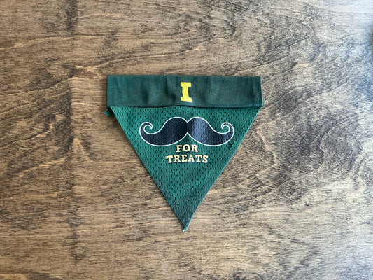 “I Mustache For Treats” Dog Bandana Small/Medium