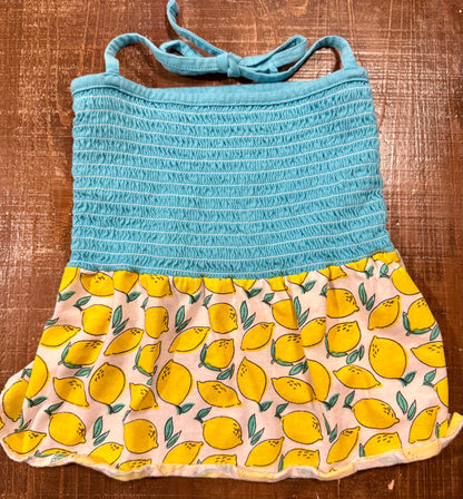 “Squeeze the Day” Lemon Dog Dress – Size L