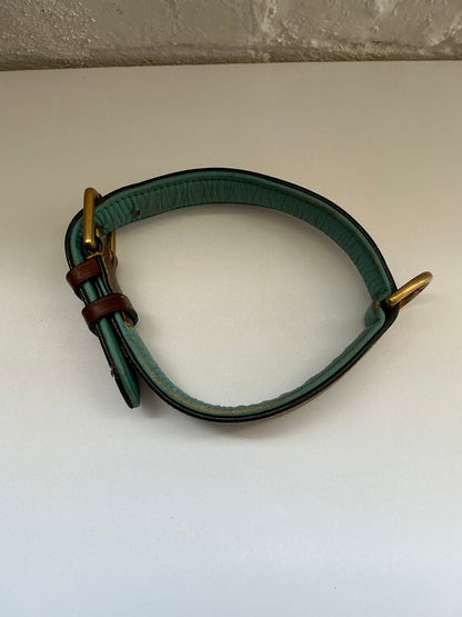 Leather Collar w/ Blue Size Large 17-21”