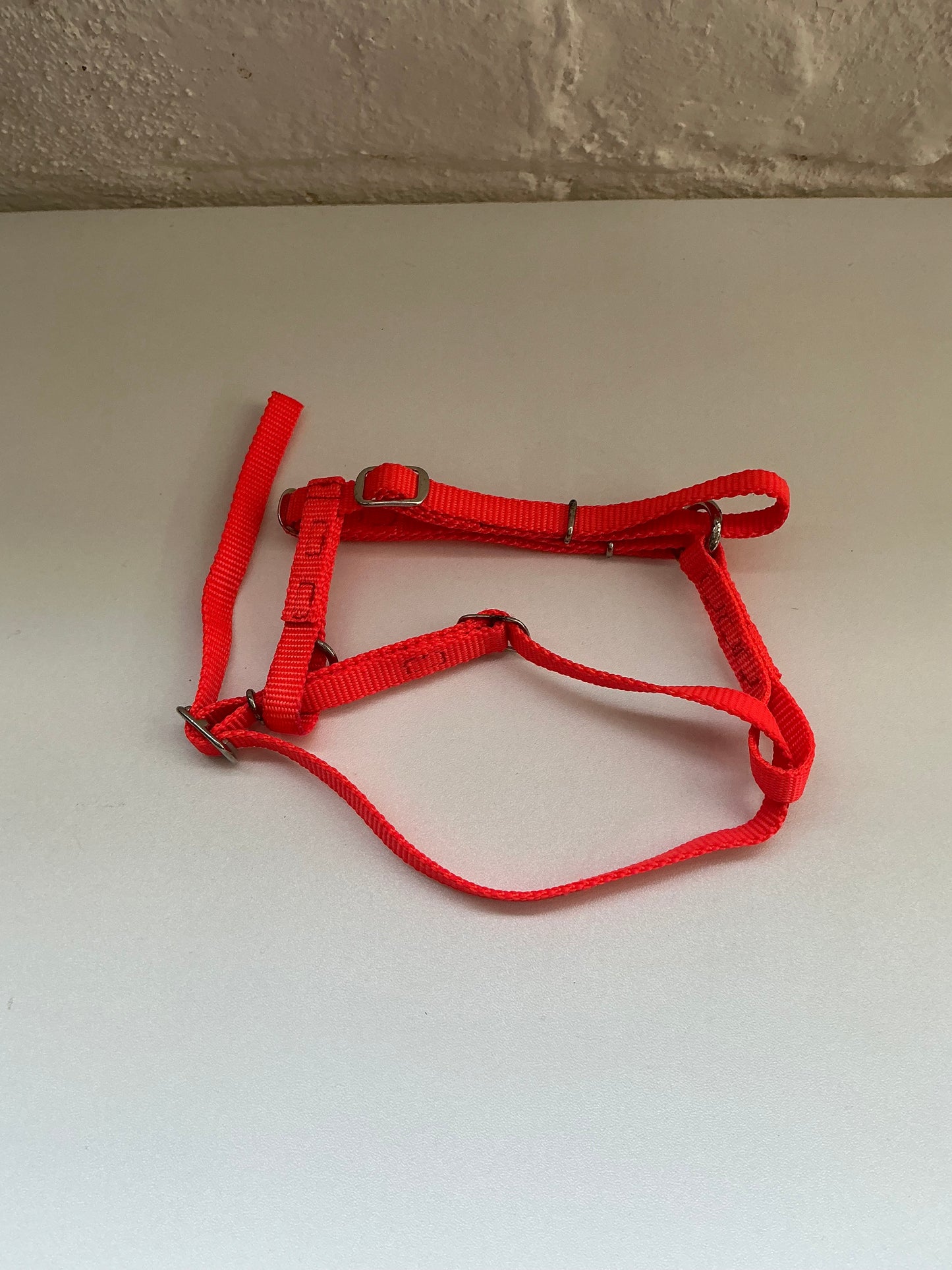 Bright Orange XS Adjustable Harness