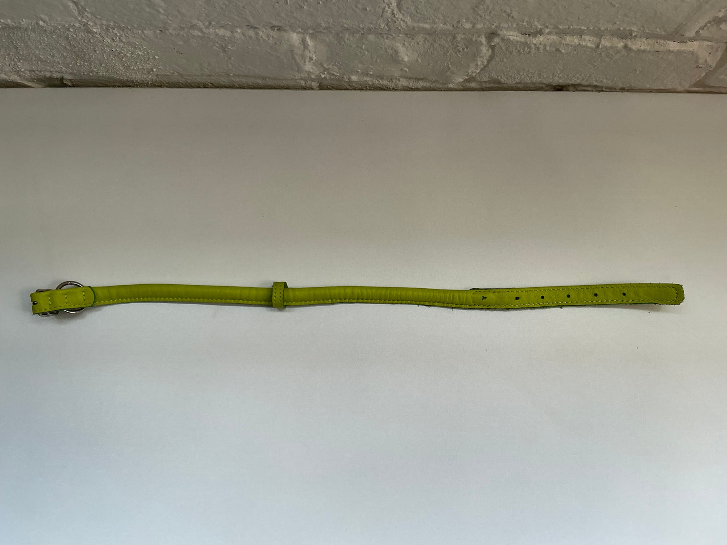 CollarDirect Rolled Green Leather Collar 19.5”