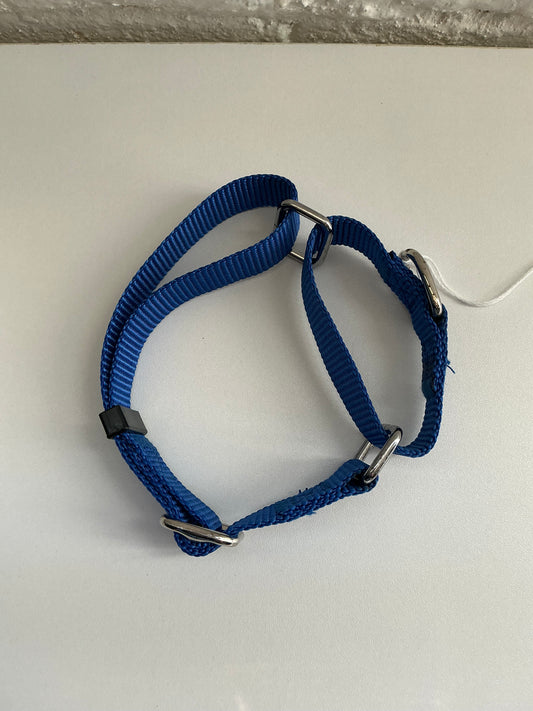Blue Nylon Martingale Dog Collar - Medium