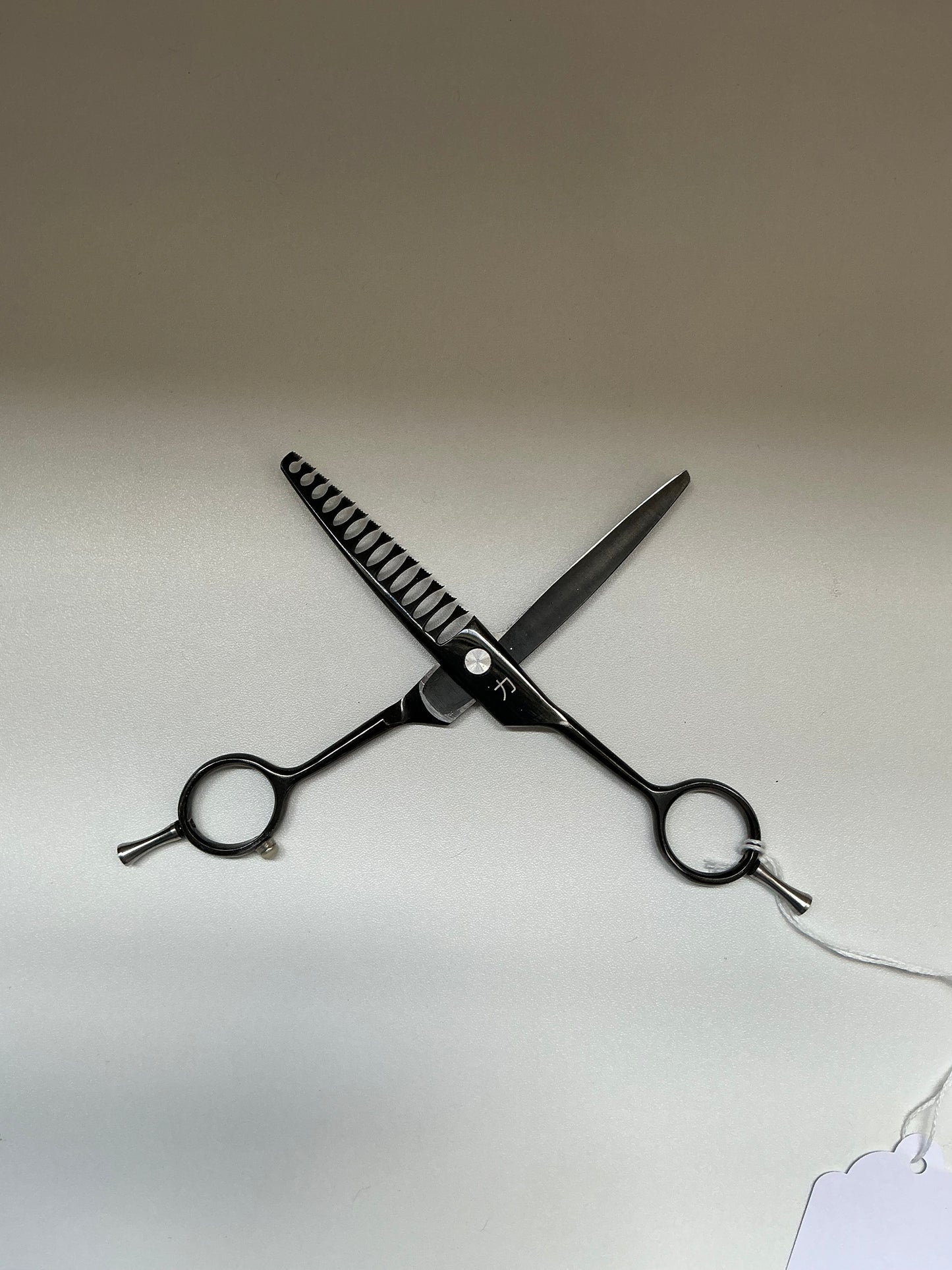 6" CR51 Black 14 Tooth Chunker Texturizing Pet Grooming Shear from Shears Direct