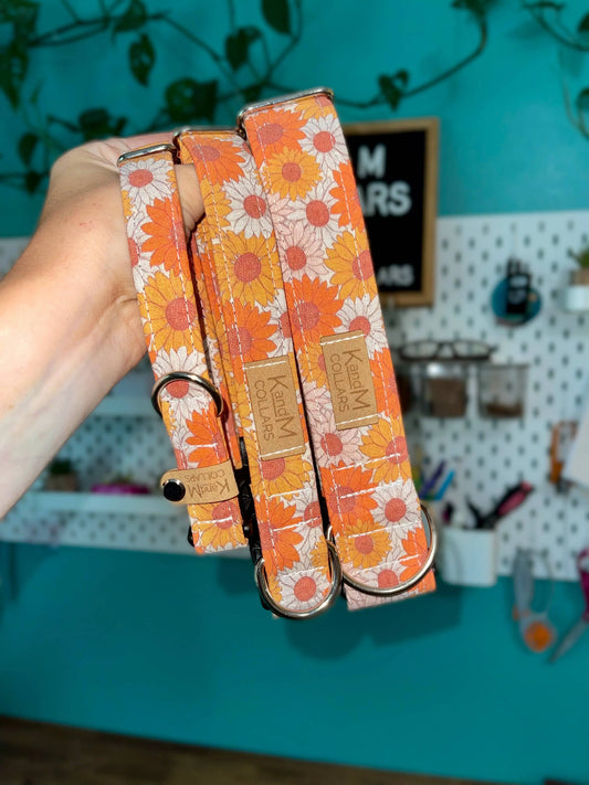 Fall Flowers Dog Collar, Halloween, K and M Collars K and M Collars, LLC