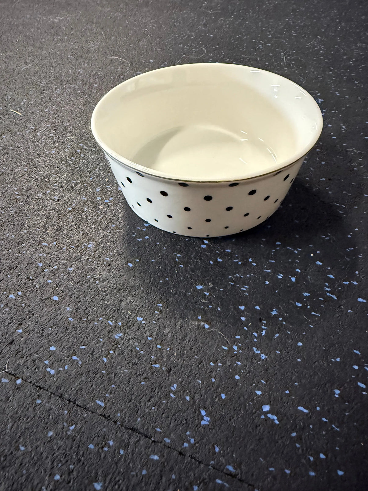 Fido's Diner Pet Bowl in White/Gold- Assorted Sizes Indiana Pet Supply