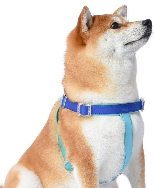 Wags & Wiggles Waterproof PVC Harness Tricolor- Medium