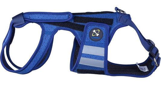 Coodeo Dog Back Brace – Small | Supportive Lift Harness for IVDD & Mobility Issues