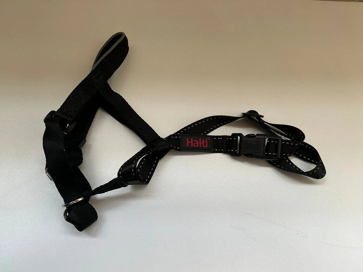 Halti Haler + Leash Combo Size Large Indiana Pet Supply