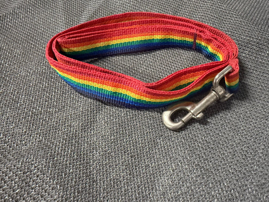 4’ Woven Rainbow Leash