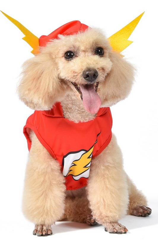 DC Comics Superhero The Flash Halloween Dog Costume – Small