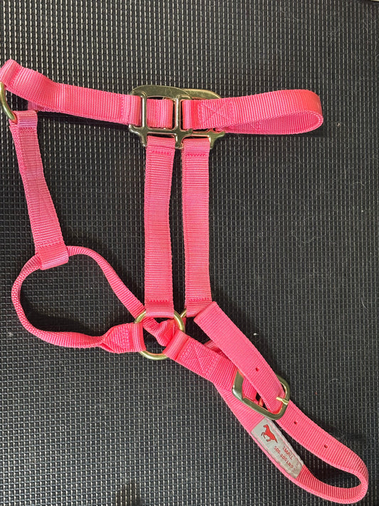 Pink Nylon Horse Halter -Small