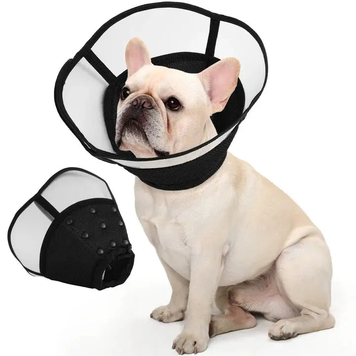 Kuoser Adjustable Padded Cone- Size XL Indiana Pet Supply