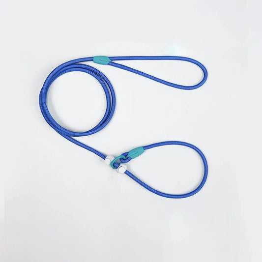 Loofie - Lightweight Nylon Dog Leash Cheerhunting