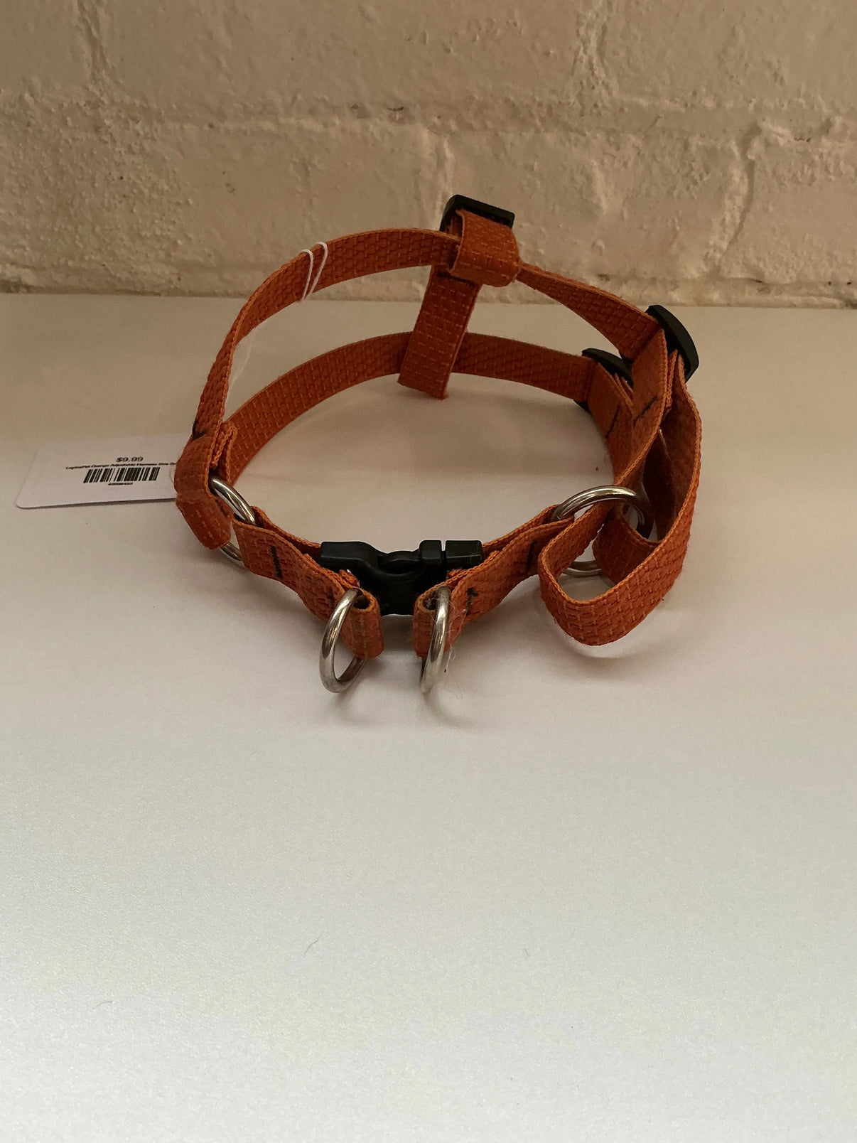 LupinePet Orange Adjustable Harness Size Small - Medium Indiana Pet Supply