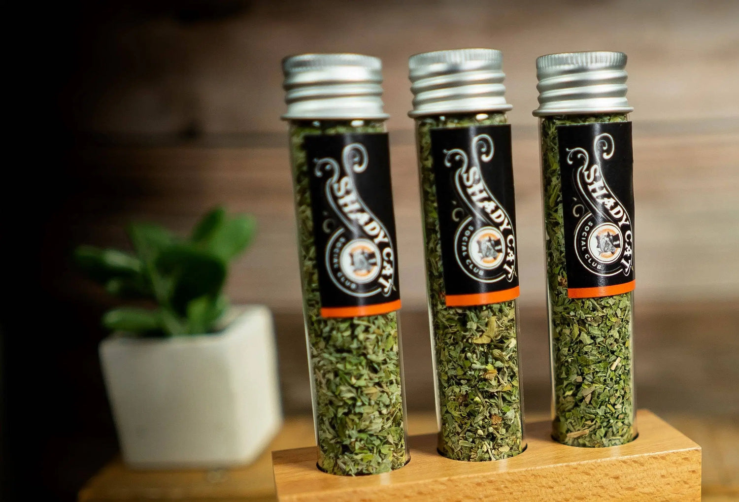 Organic Leaf & Flower Catnip Tube SHADY CAT SOCIAL CLUB