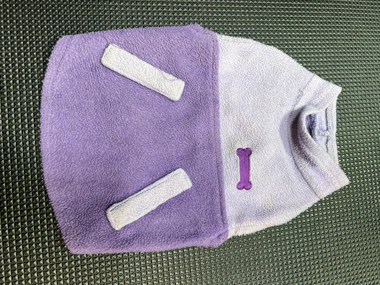 Purple Dog Jacket XS Indiana Pet Supply