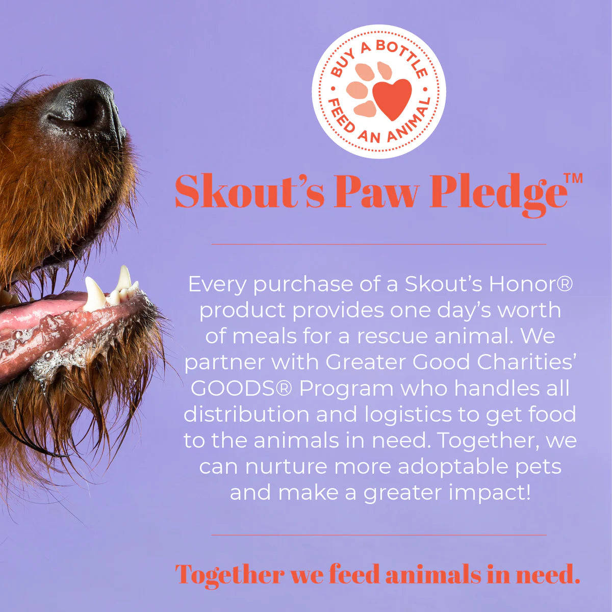 Skout's Honor Prebiotic Pet Balm 2 oz