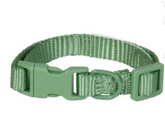 Vibrant Life Polyester Adjustable Collar for Dogs- Sage Green, X-Small