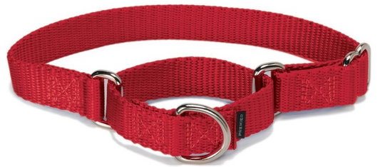 PetSafe Martingale Dog Collar with Quick-Snap Buckle - Medium, 1 Inch, Red