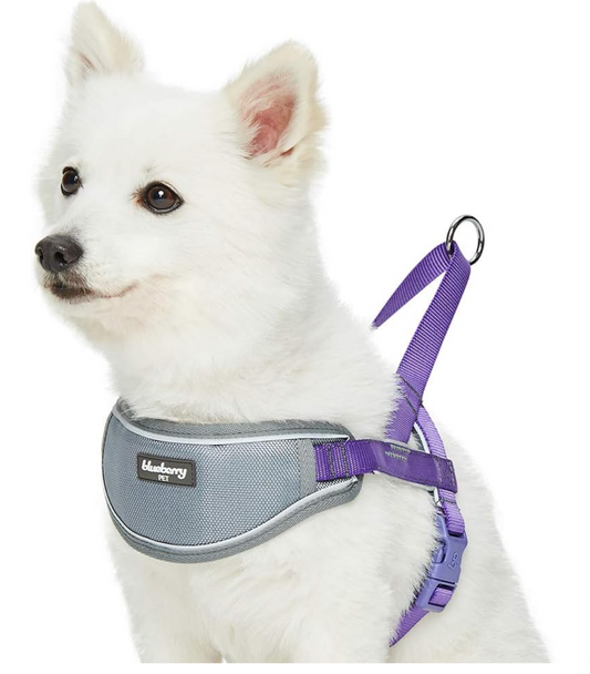 Blueberry Pet Reflective Harness- Purple, Medium