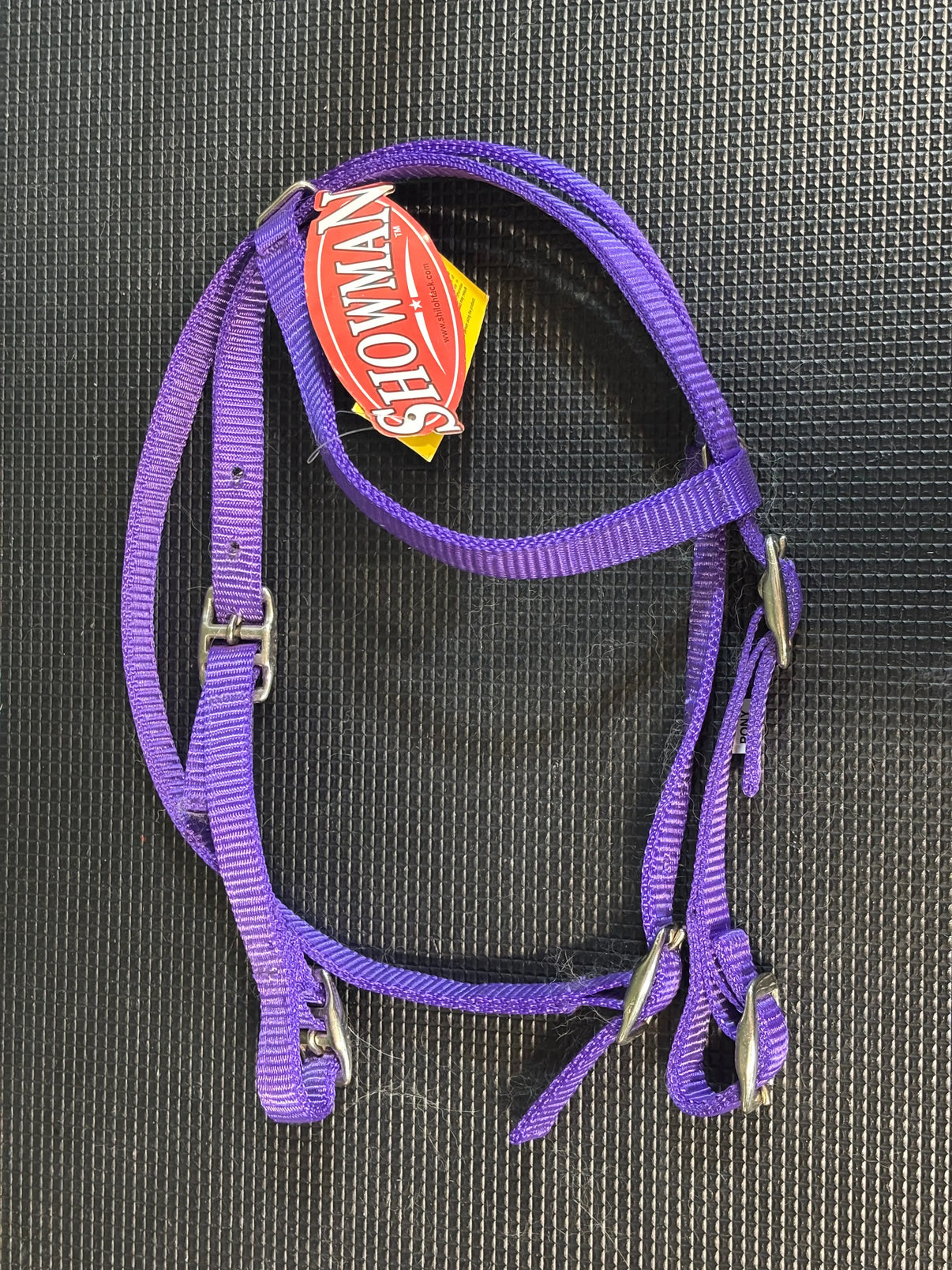 Showman Nylon Pony Bridle- Purple Indiana Pet Supply