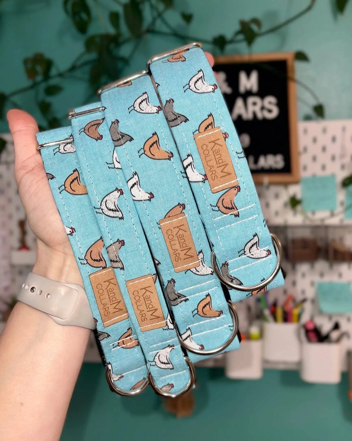 Spring Chickens Dog Collar, K and M Collars, Pet Accessory K and M Collars, LLC