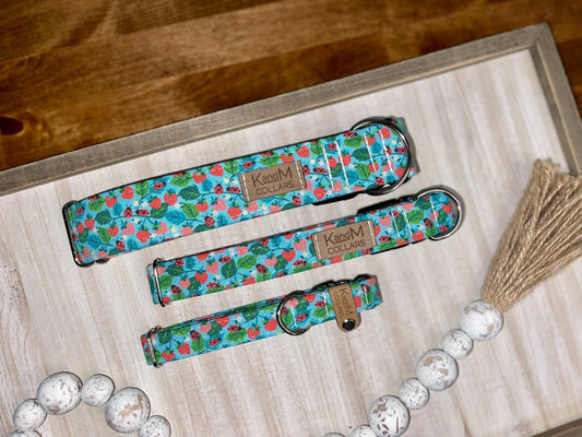 Spring Garden Dog Collar K and M Collars, LLC