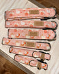 Summer Chickens Dog Collar K and M Collars, LLC