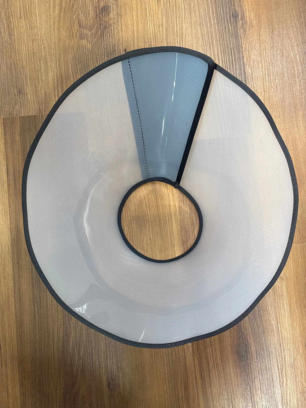 Supet Dog Cone- LG Indiana Pet Supply