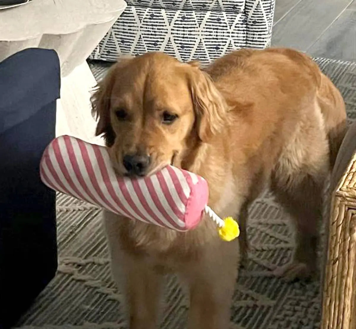 ThoozyPet Birthday Candle Pink Plush Dog Toy with Rope 16" Indiana Pet Supply