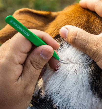 TickCheck Premium Tick Remover Kit TickCheck