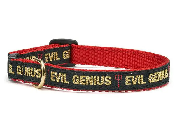 Up Country Evil Genius Cat Collar Indiana Pet Supply