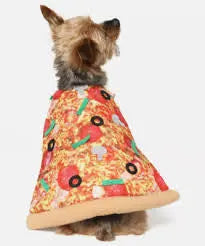 VibrantLife Halloween Pizza Costume Indiana Pet Supply