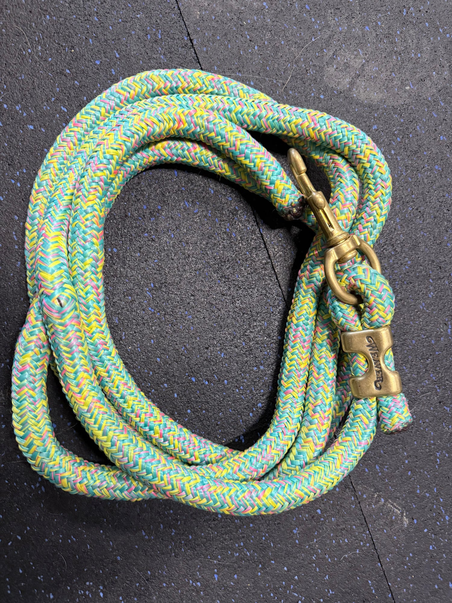 Weaver 10’ Poly Lead Rope DISCONTINUED COLOR Indiana Pet Supply