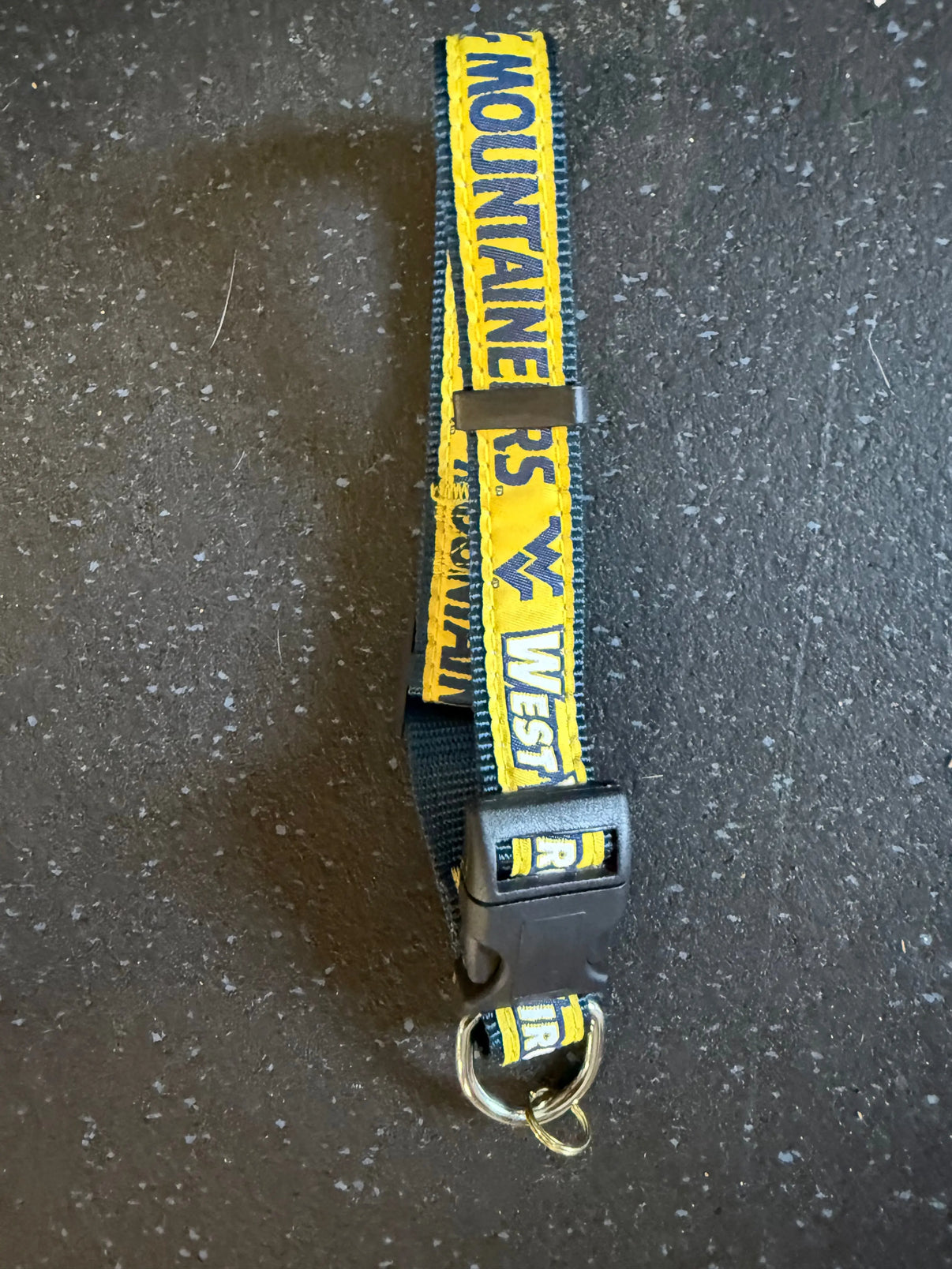 West Virginia Mountaineers NCAA Dog Collar, Large Indiana Pet Supply