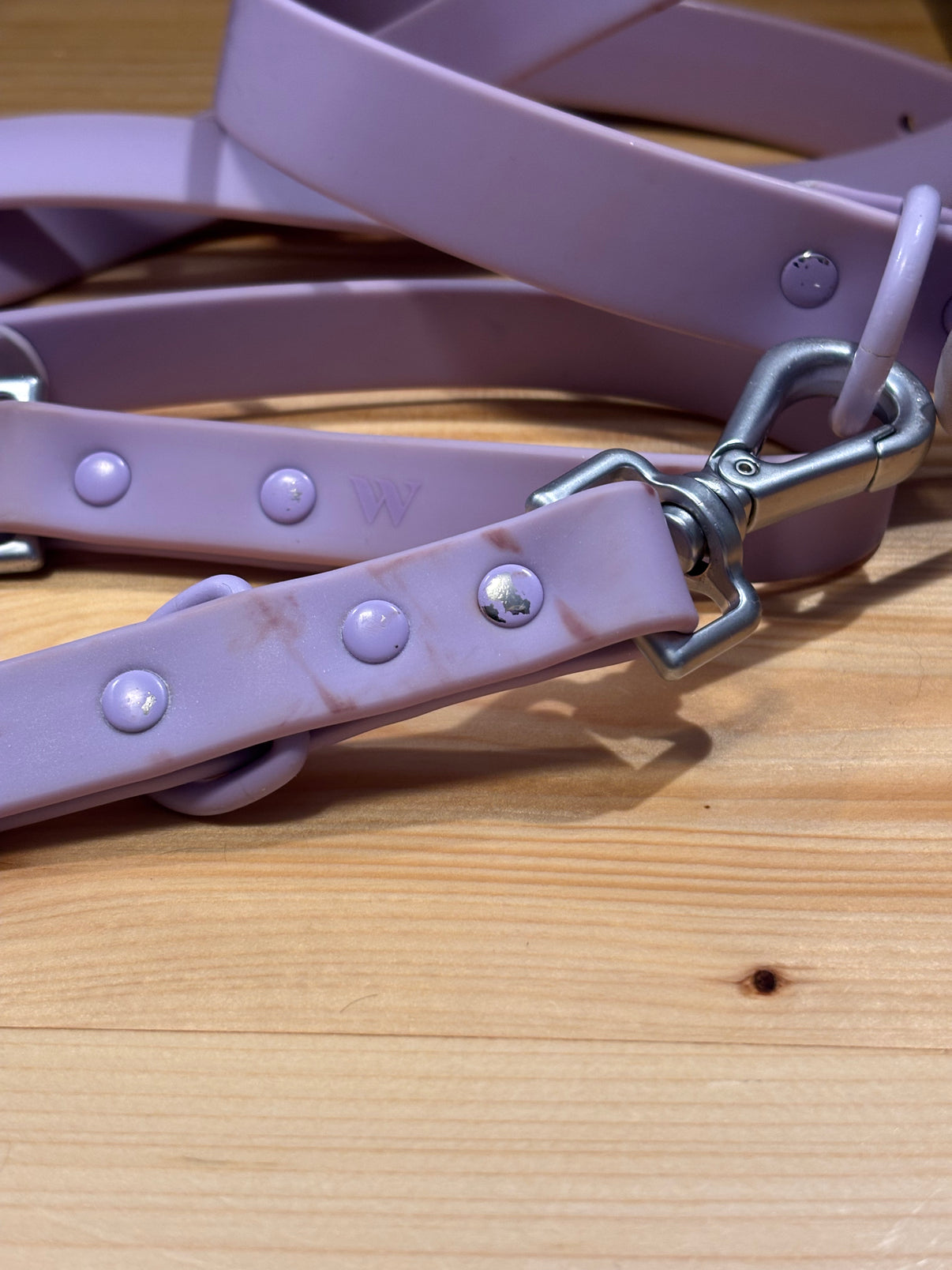 Wild One's Adjustable Waterproof 6" Leash Indiana Pet Supply