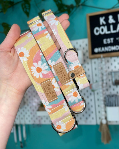 Groovy Daisies Dog Collar