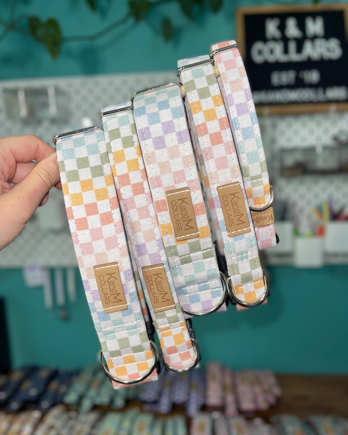 Pastel Rainbow Checkered Dog Collar